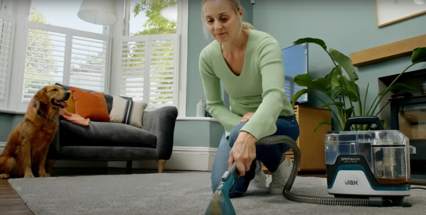Honest Review: VAX SpotWash Home Pet-Design & Car