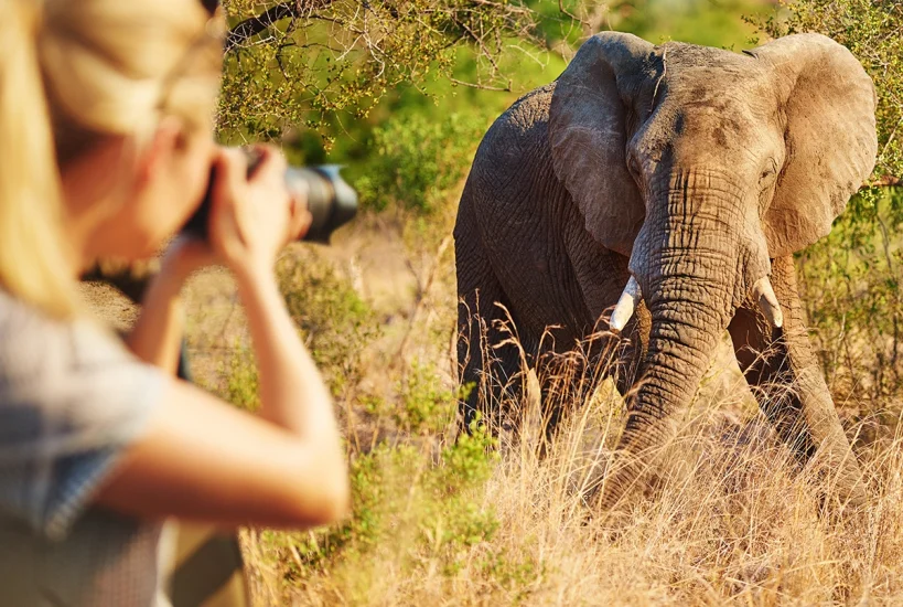 Focus, Frame, and Flash: The Ultimate Guide to Photographic Safaris in Tanzania