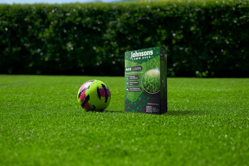 Put the spring back into your garden with these expert March lawn care tips