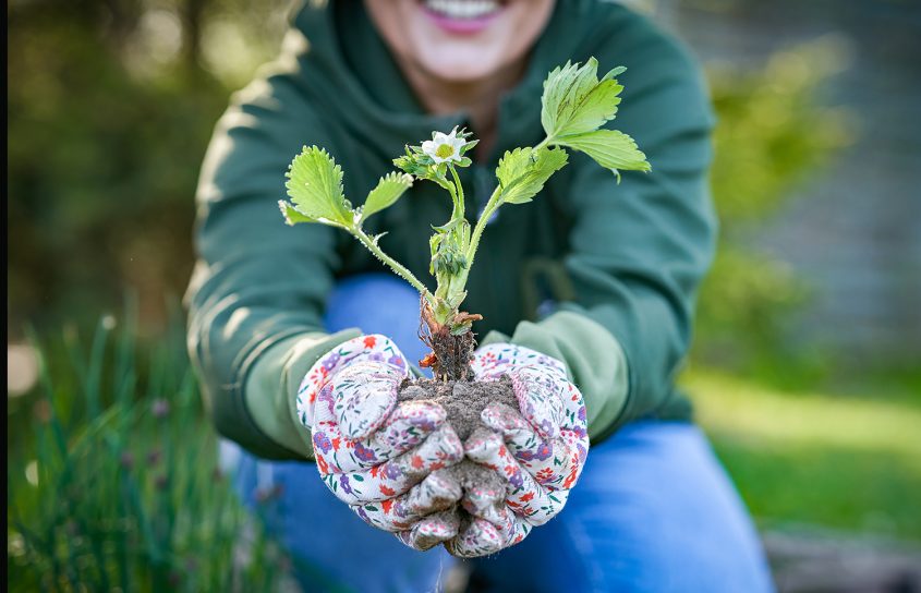 Expert Shares 5 Important March Gardening Jobs