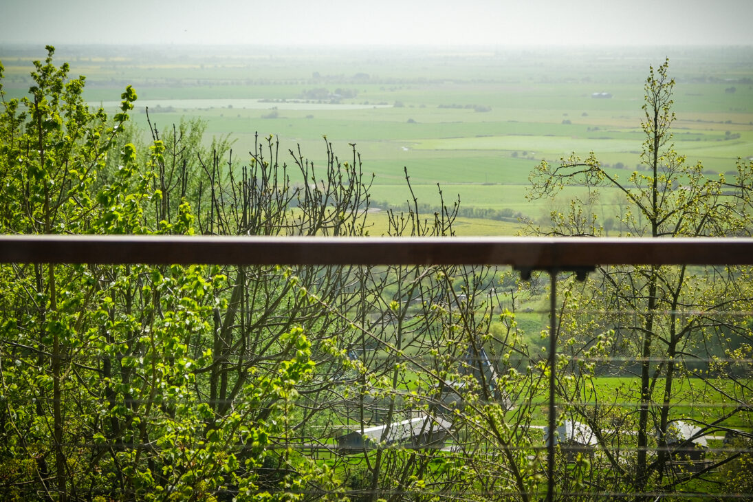 Port Lympne Hotel & Reserve Review