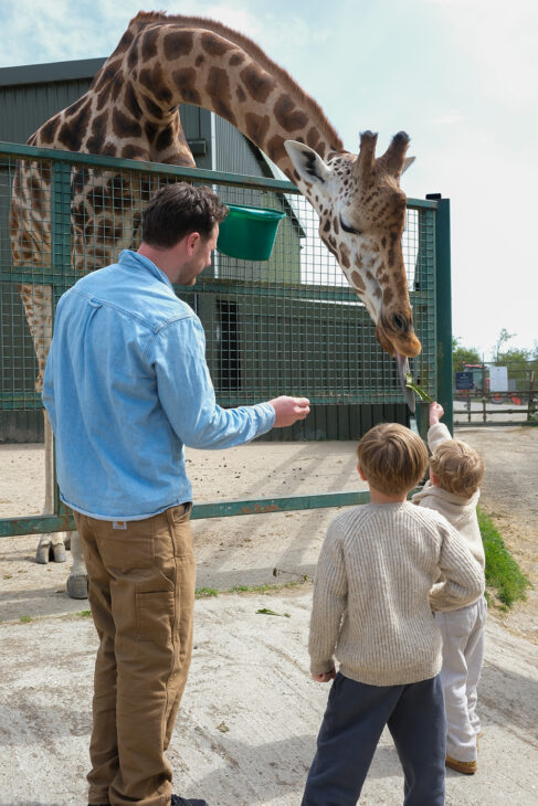 Port Lympne Hotel & Reserve