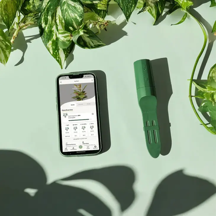 Plant With Willow Smart Plant Sensor review