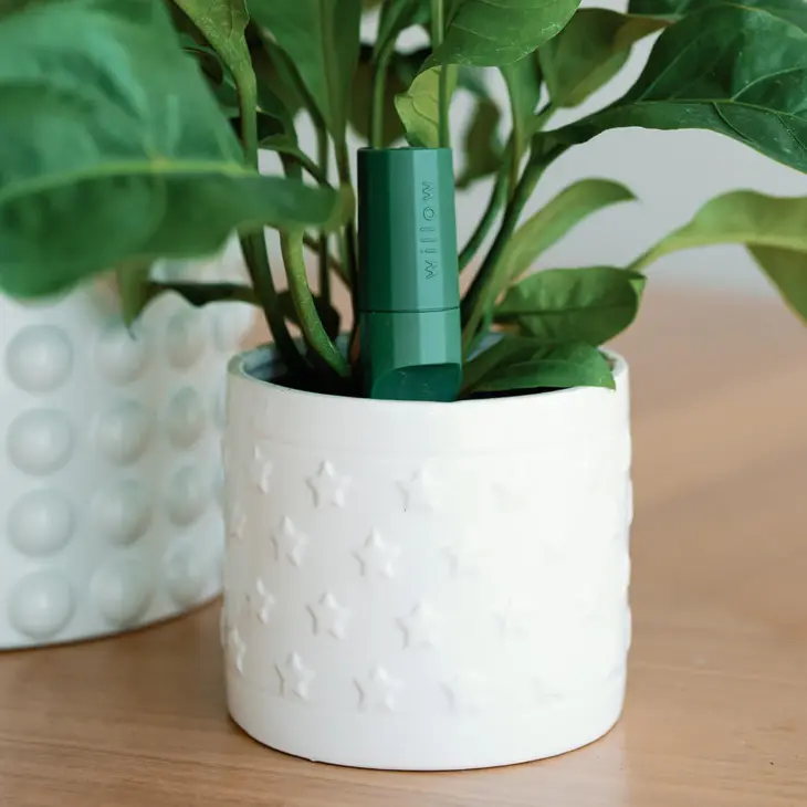Plant With Willow Smart Plant Sensor review