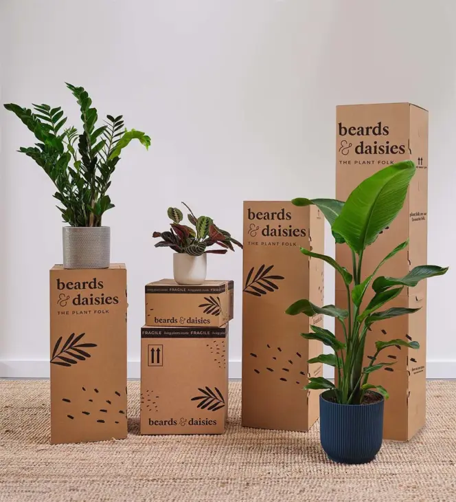 Plant Parenthood At Home with Beards & Daisies Online Plants