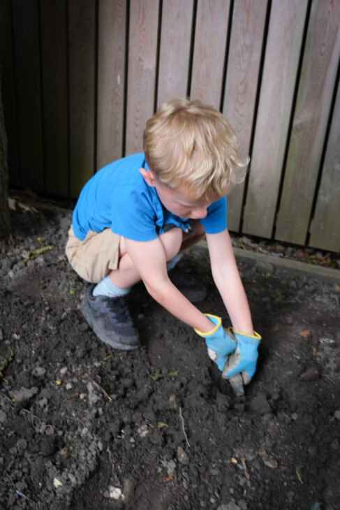 Composting With Kids This Summer