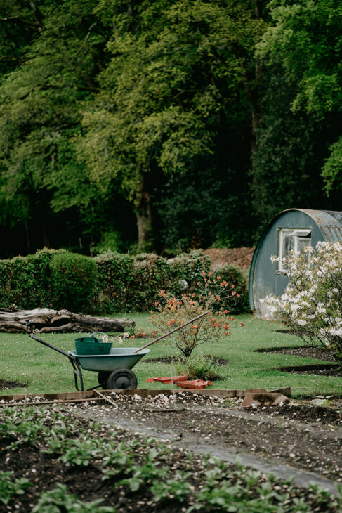 Four Quick Fixes for a Summer-Ready Garden in Summer 2026