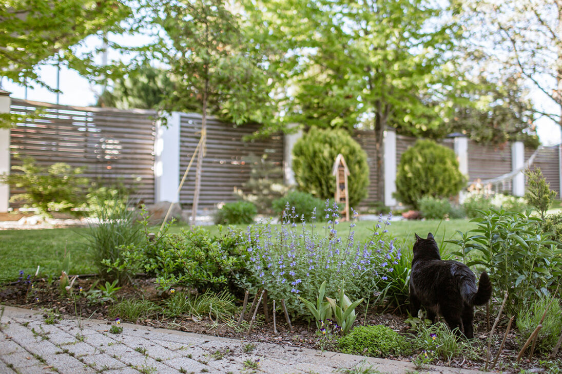 Four Quick Fixes for a Summer-Ready Garden