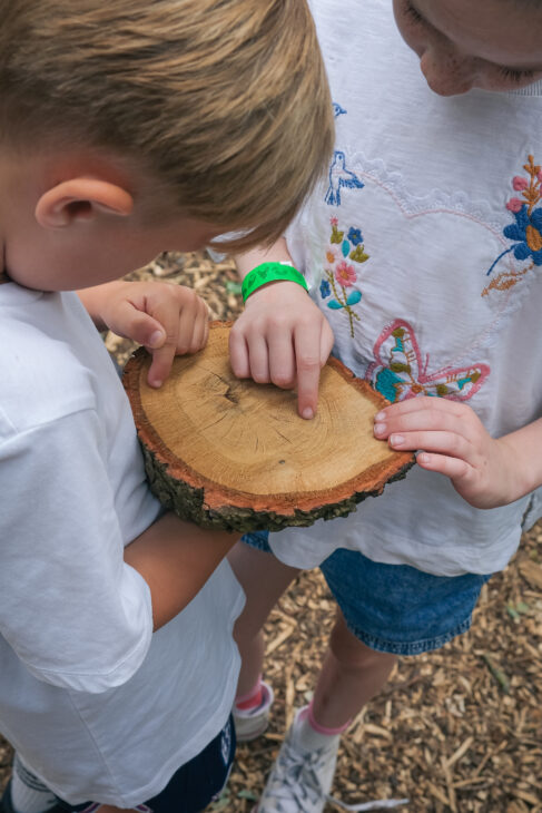 A Magical Family Day Out at Guildenacre