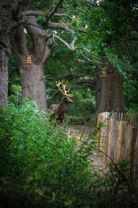 A Magical Family Day Out at Guildenacre