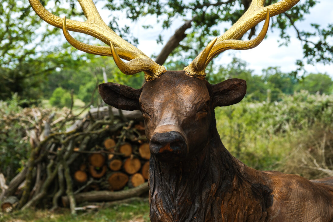 A Magical Family Day Out at Guildenacre