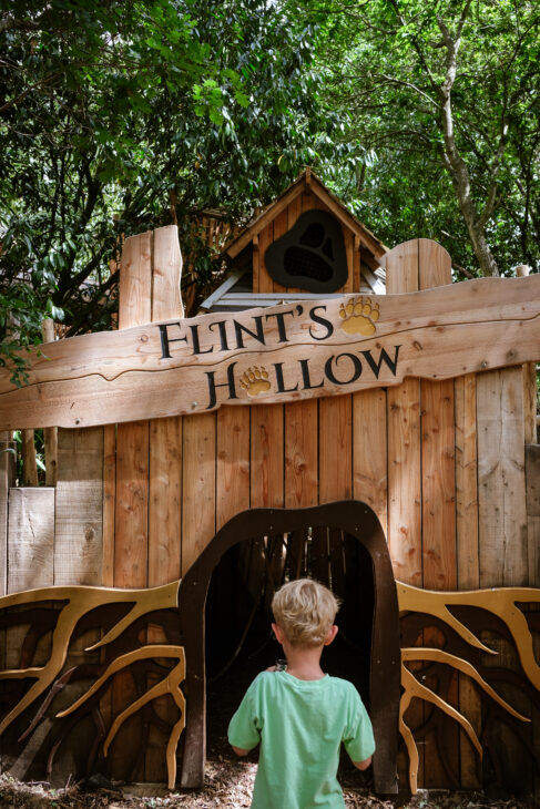 A Magical Family Day Out at Guildenacre