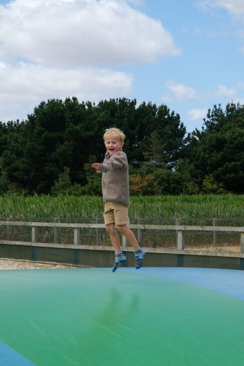 Southwold Maize Maze review