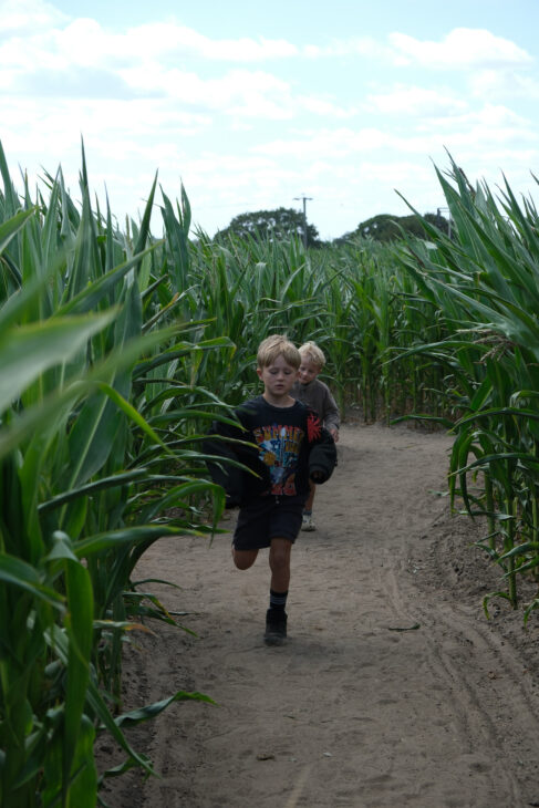 Southwold Maize Maze review