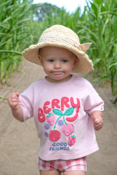 Southwold Maize Maze review