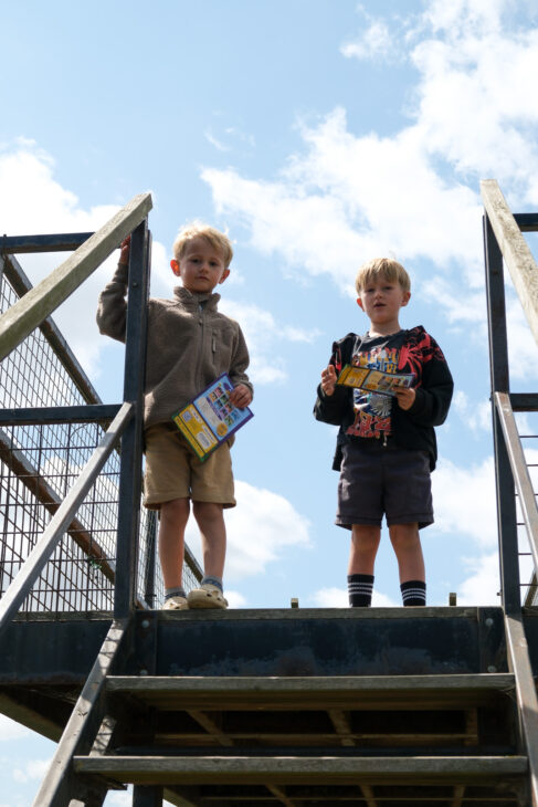 Southwold Maize Maze review