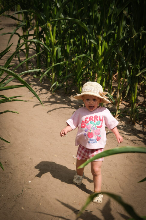 Southwold Maize Maze review