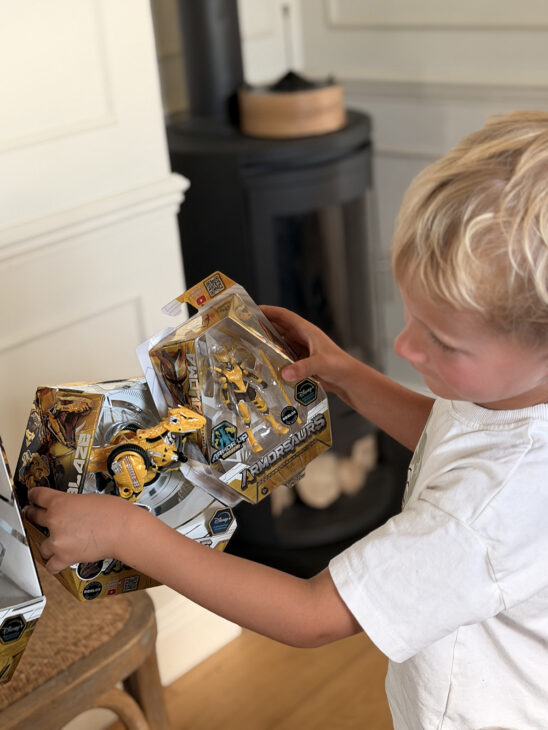 Armorsaurs Toys Review