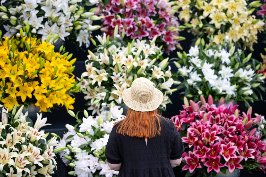 RHS Sandringham Flower Show