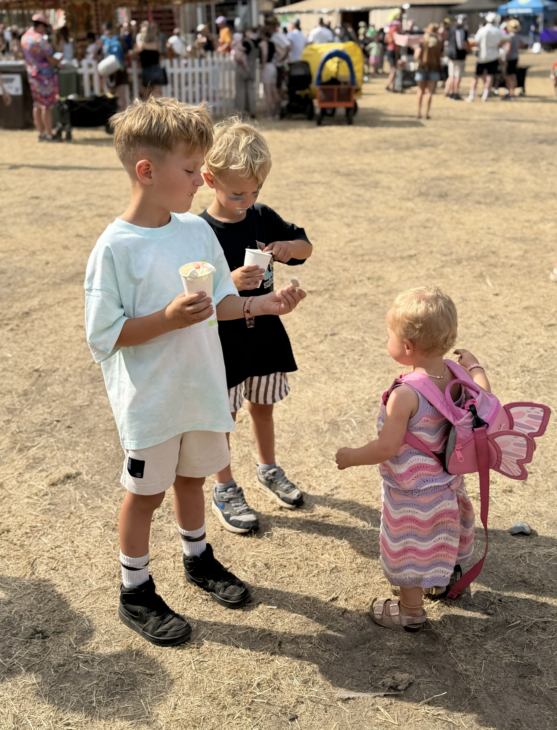 Latitude Festival 2026 Review