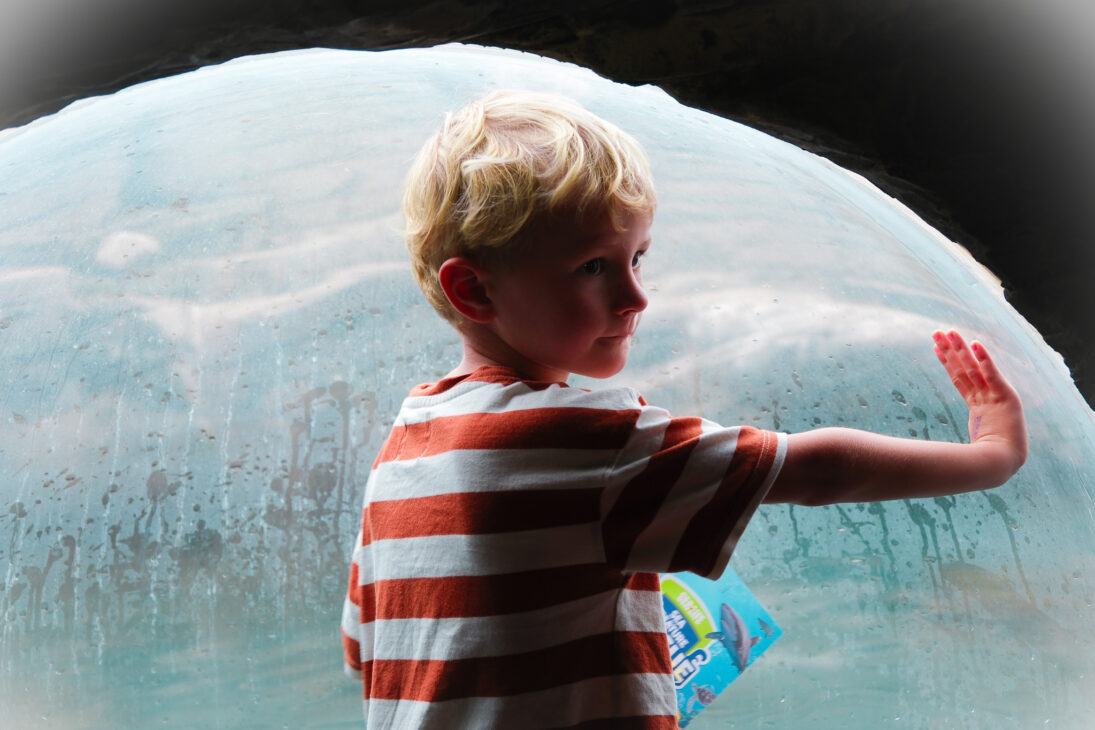 SEA LIFE Great Yarmouth review