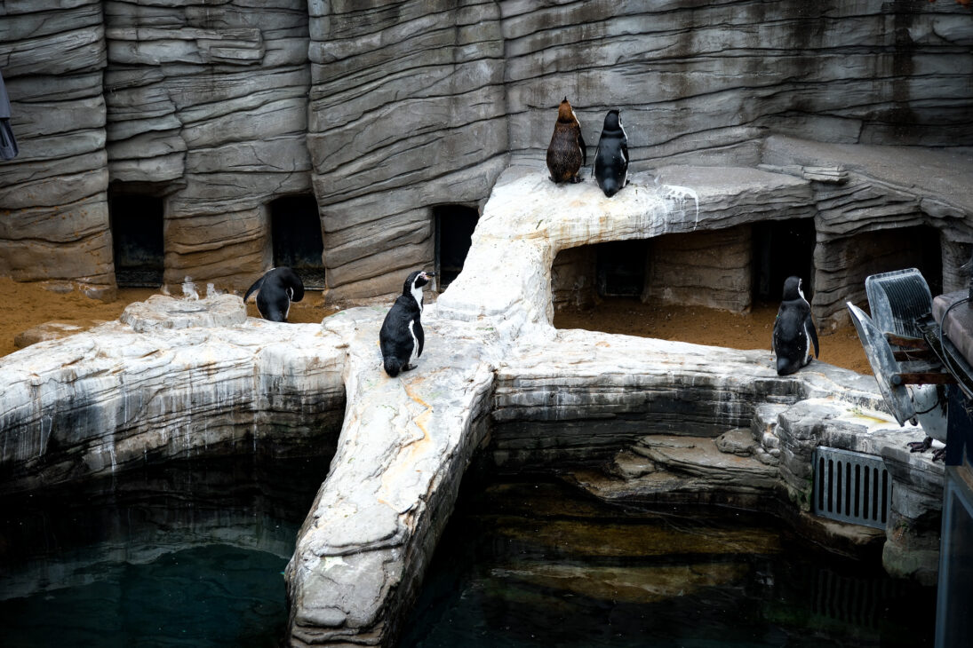 SEA LIFE Great Yarmouth review