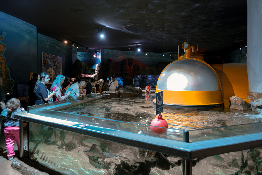 SEA LIFE Great Yarmouth review