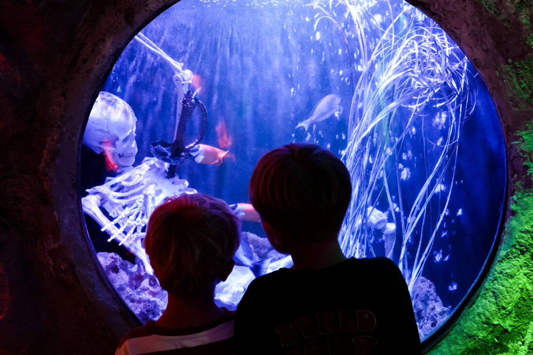SEA LIFE Great Yarmouth review