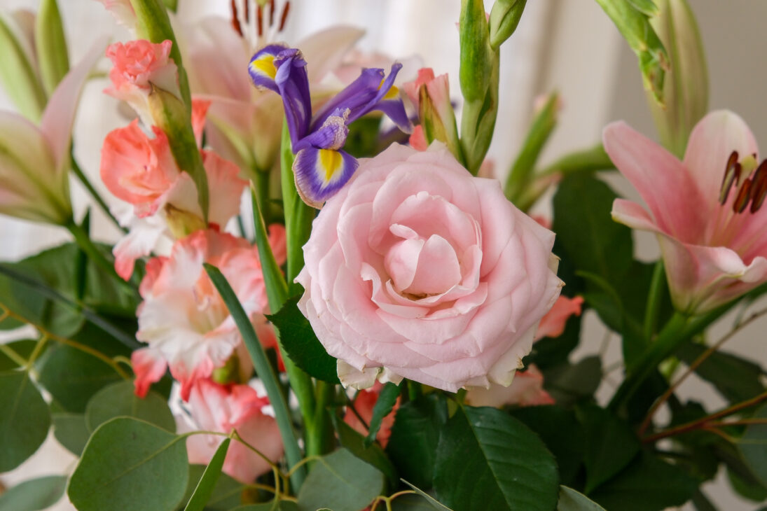 Freddie’s Flowers review