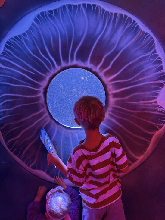 SEA LIFE Great Yarmouth review