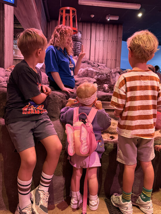 SEA LIFE Great Yarmouth review