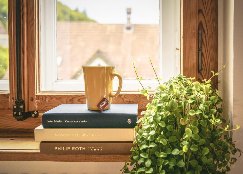 The End of Heavy Curtains? Why Minimalist Window Dressings Are Taking Over