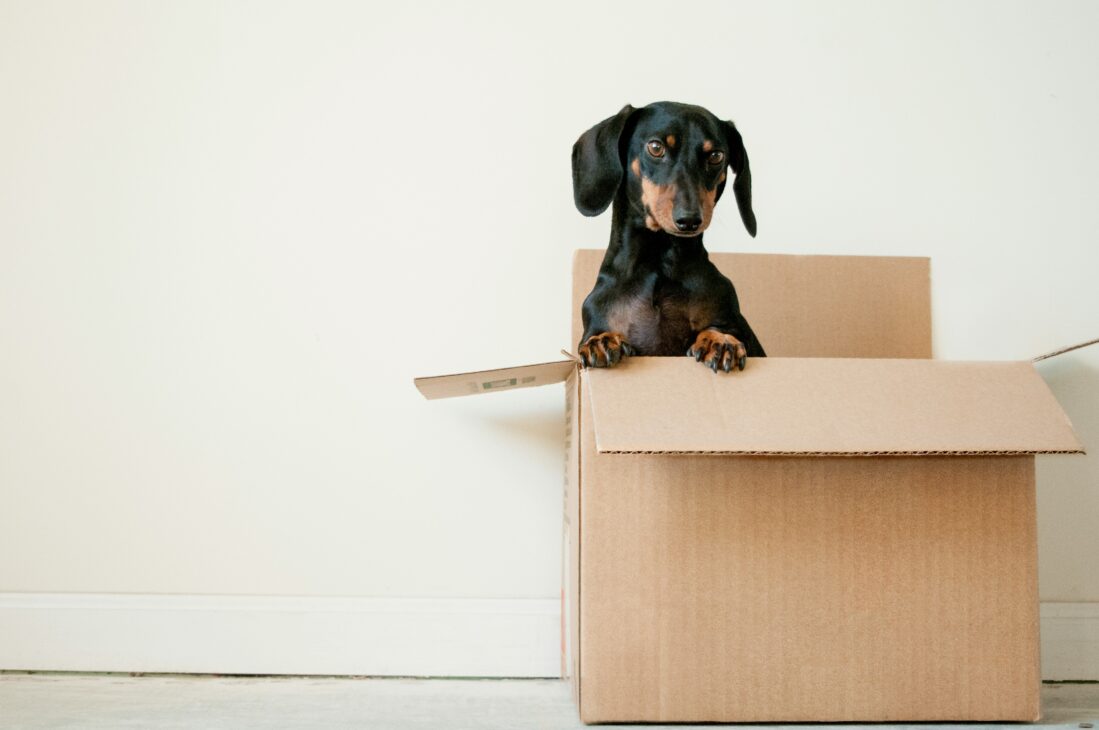 Growing Family, Same Home: How to Create More Space Without Moving